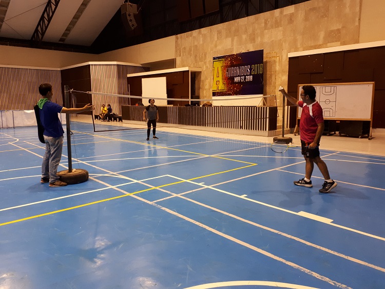 Wellness Pictures Badminton