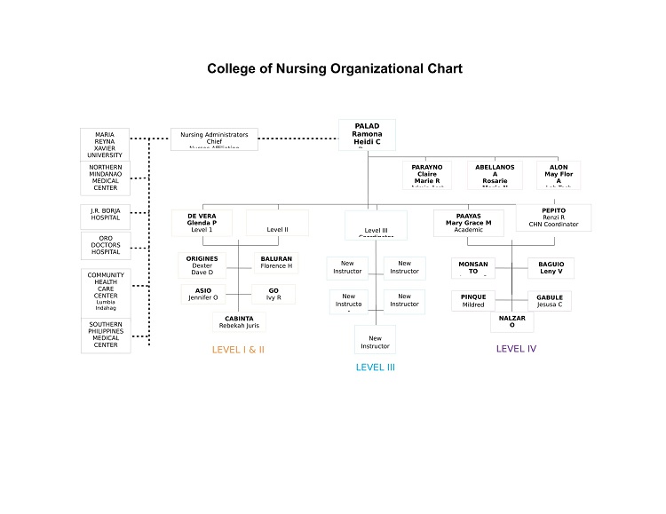 Organizational Structure of the College of Nursing 1