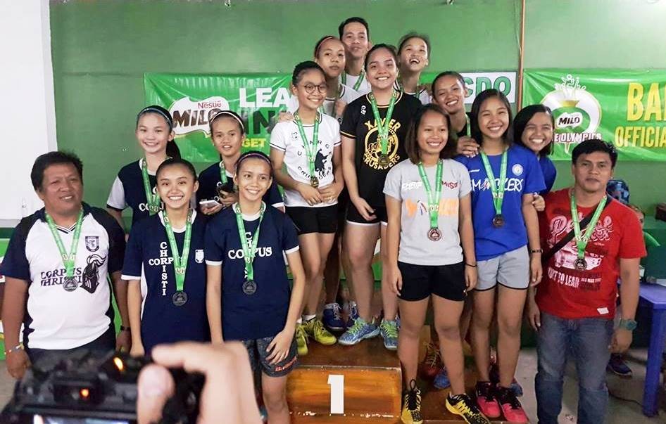 badminton 2
