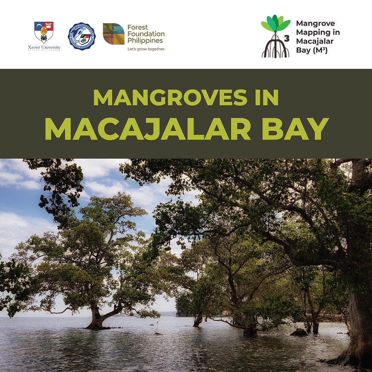 MangrovesMacBay