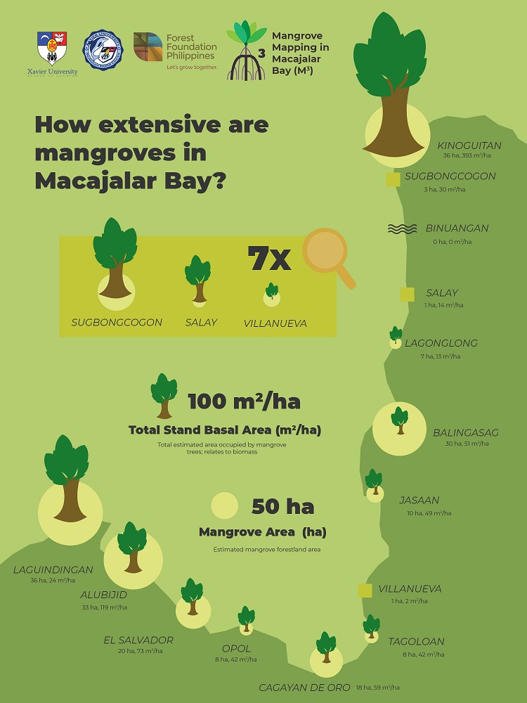 MangrovesMacBay
