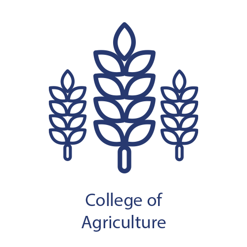 College Aggies