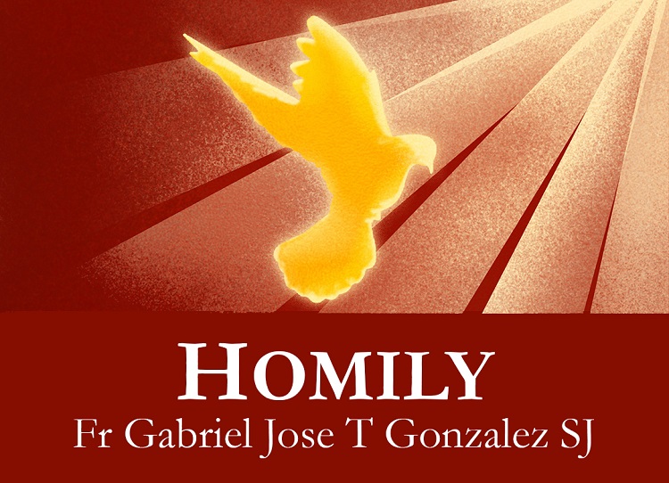 Homily