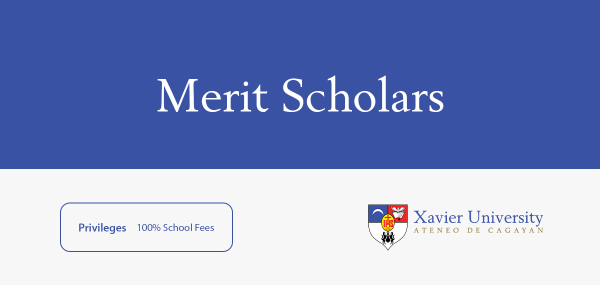 04222024.Web Merit Scholars banner