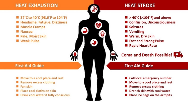 03052024.Web Heat Exhaustion vs. Heat Stroke