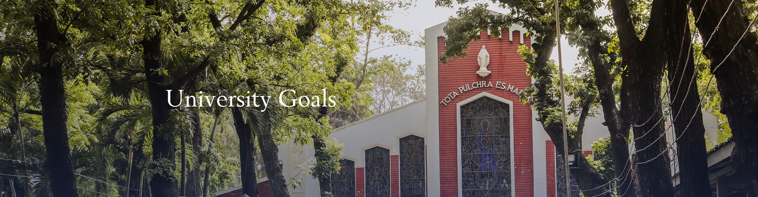 05102024.Web.Banner About University Goals