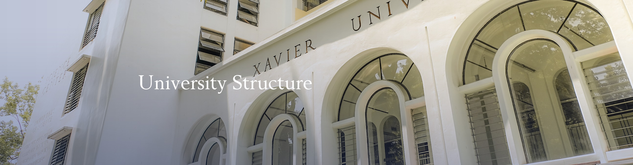 05102024.Web.Banner About University Structure