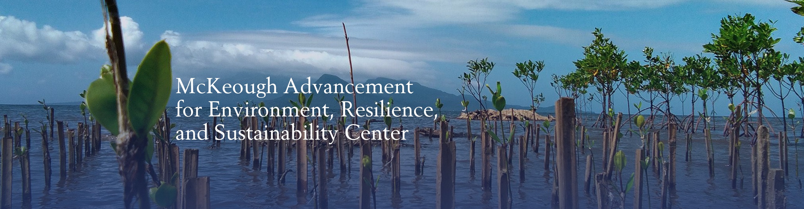 01222026.Web.Banner MAERS