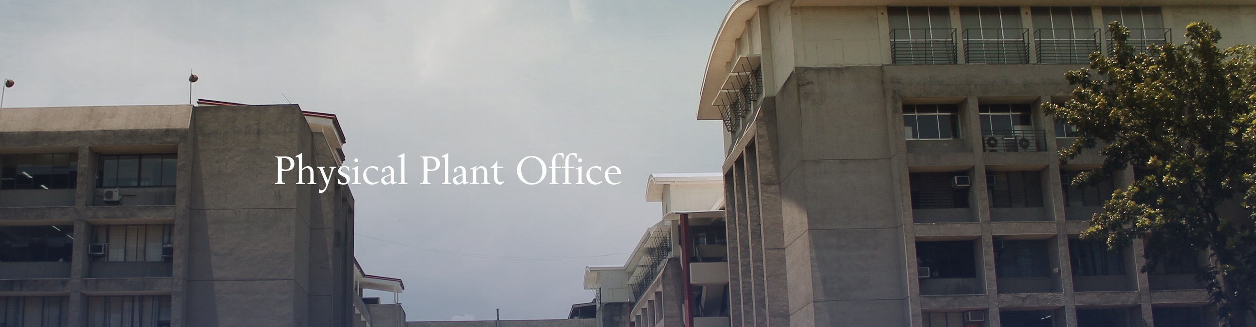 04042025.Web.Banner PPO