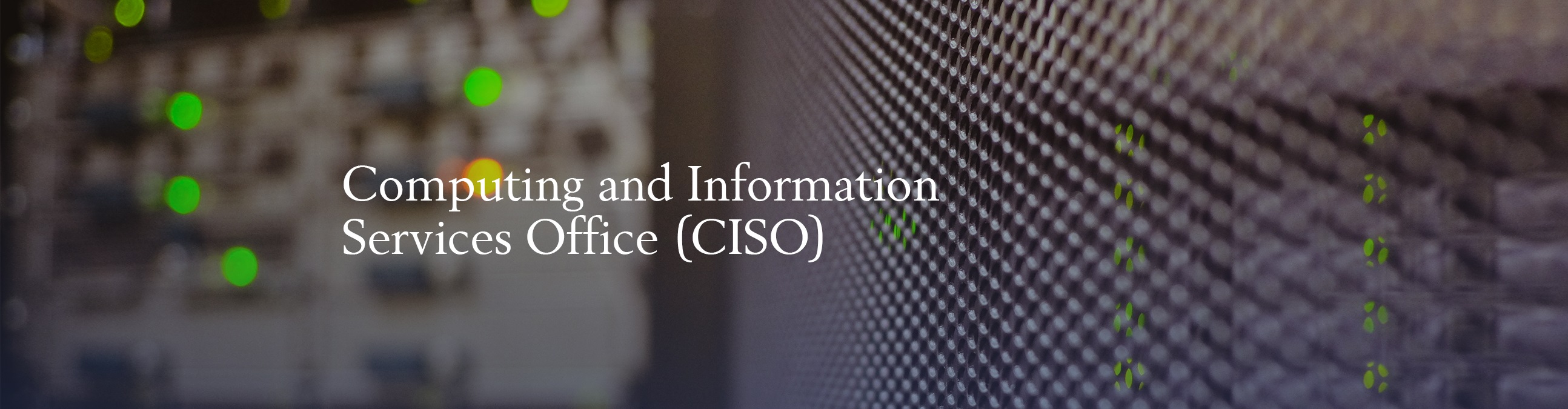 05092025.Web.Banner CISO