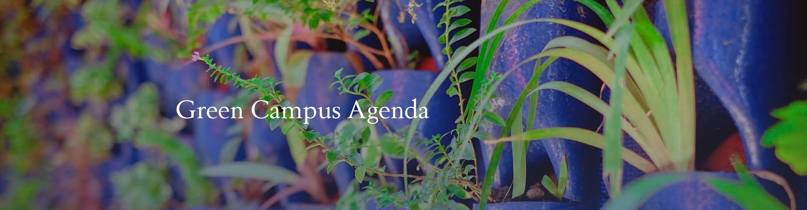 05092025.Web.Banner Green Campus Agenda