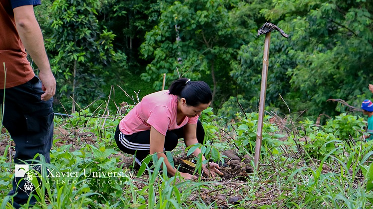 09102024.Web Tree Planting 3