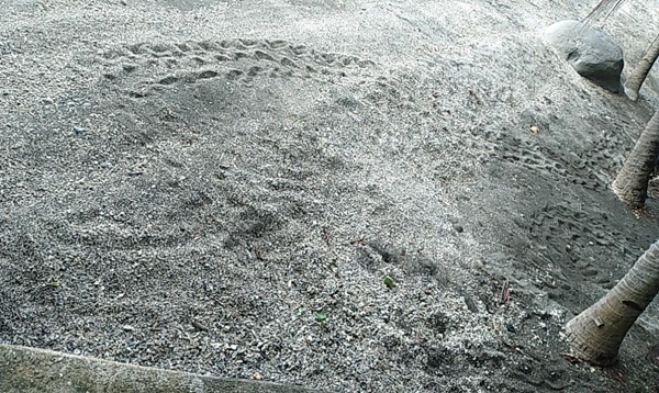 01272025.Web Picture 2 MMC 2