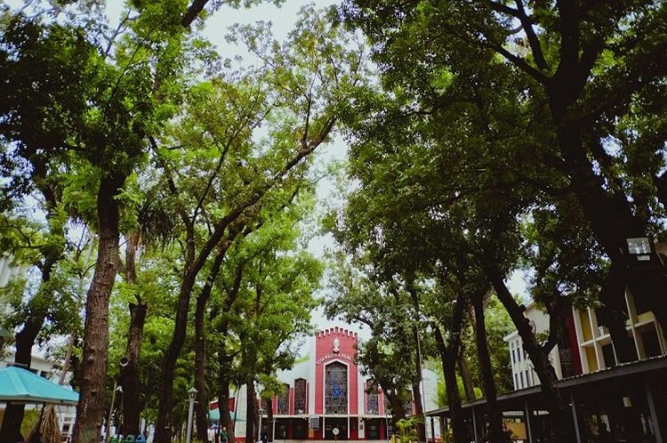 04162026.Web VPADMIN 2