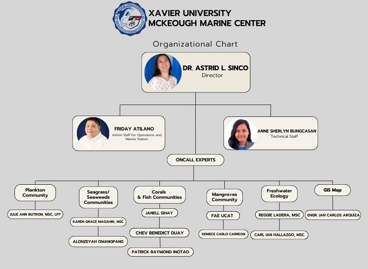 08012024.Web MMC Organizational Chart