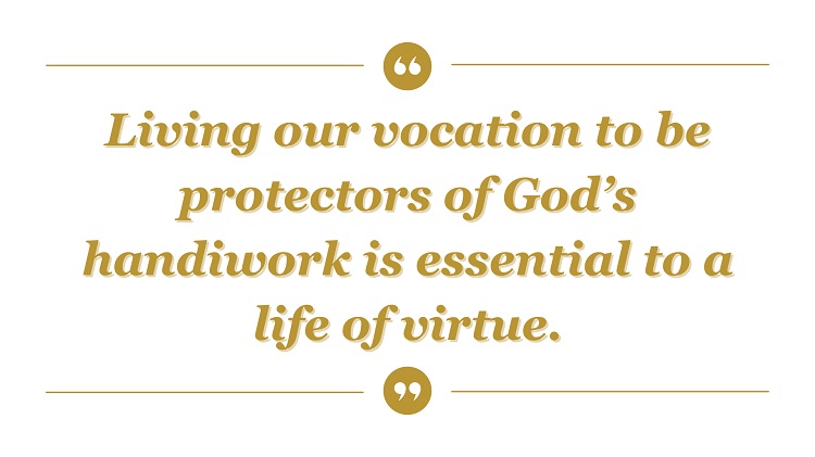 11062025.Web 3.3 Laudato Si Quote