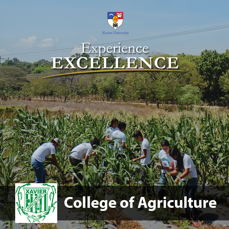 agricultureeeexcellence